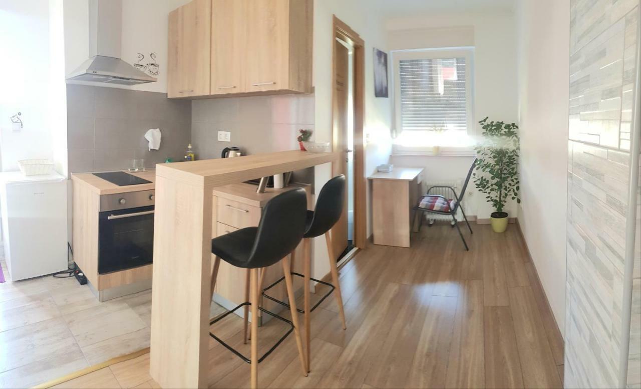 Penthouse Spudic Karlovac Daire Dış mekan fotoğraf